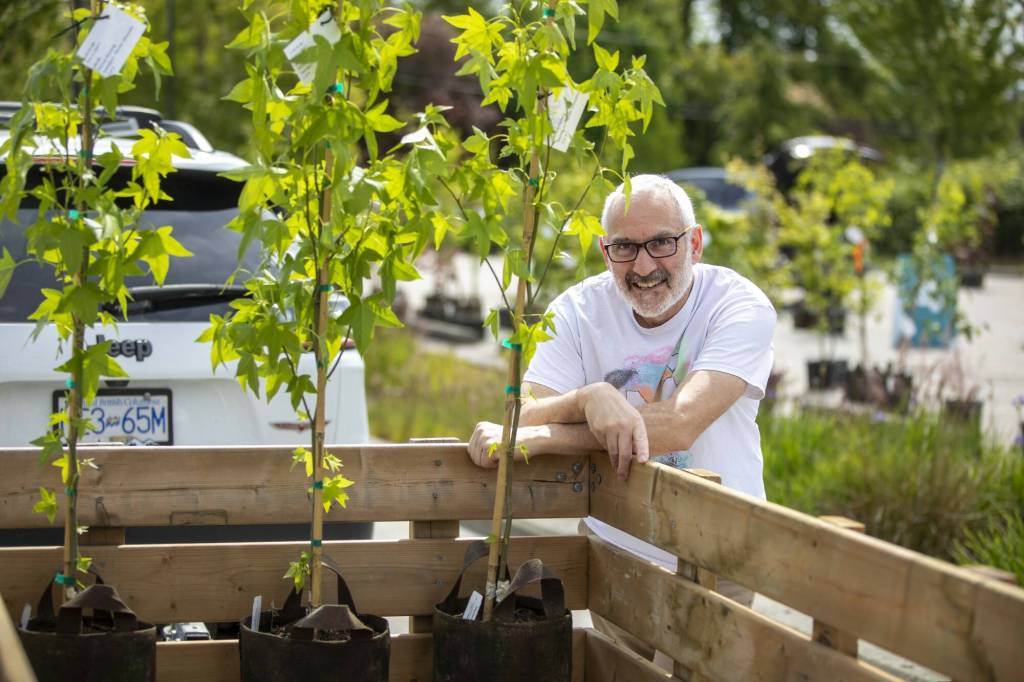 Trees for $20: Surrey’s popular annual sale returns